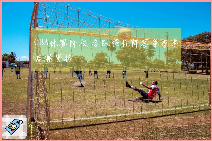 CBA休赛阶段 各队强化阵容争夺季后赛资格